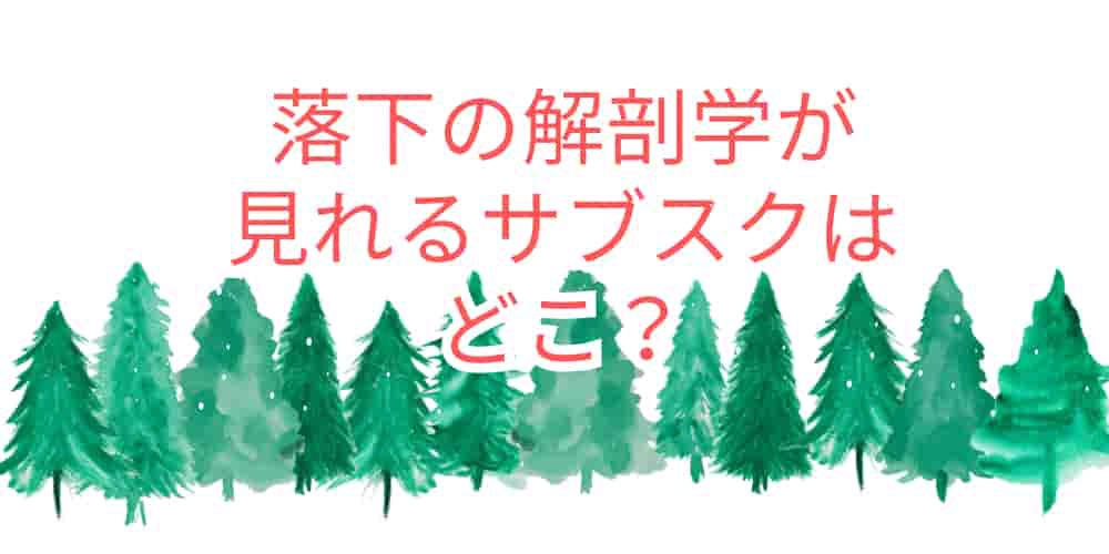 落下の解剖学　サブスク