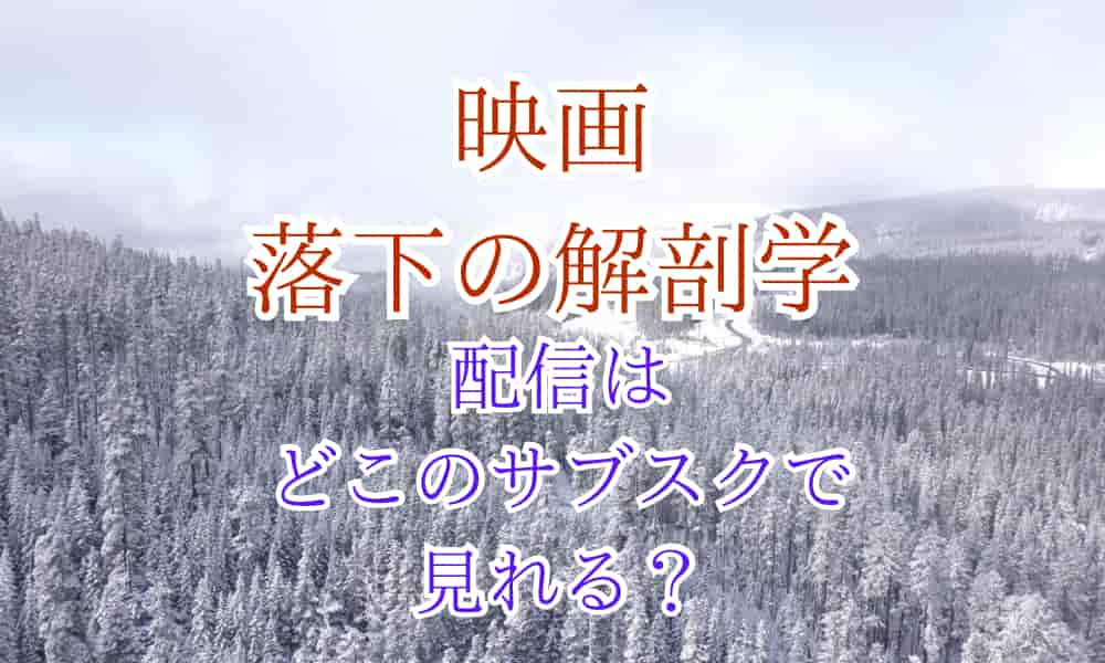 落下の解剖学　配信