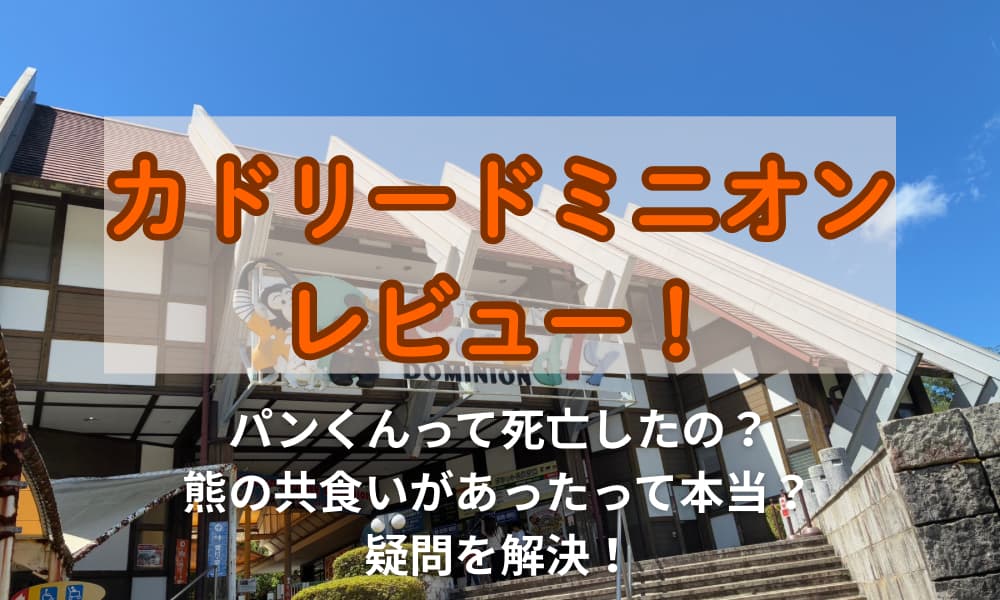 カドリードミニオン　レビュー